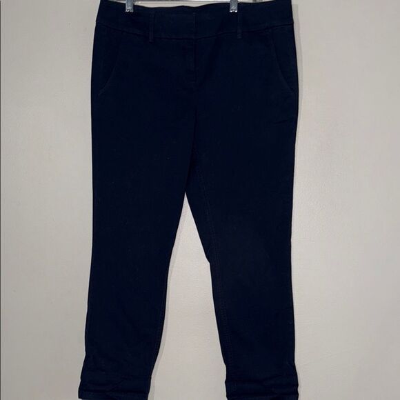 LOFT Navy Blue Modern Cropped Chinos - Picture 5 of 11